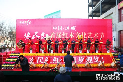 中国运城首届红木文化艺术节隆重开幕